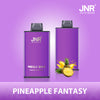 JNR Mega Box 25000 Puffs Disposable Vape (Doos van 10)