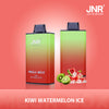 JNR Mega Box 25000 Puffs Disposable Vape (Doos van 10)