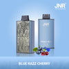 JNR Mega Box 25000 Puffs Disposable Vape (Doos van 10)