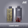 JNR Mega Box 25000 Puffs Disposable Vape (Doos van 10)