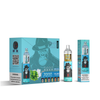RAndM Tornado 7000 Puffs Disposable Vape (Doos van 10)