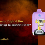 Hoe levert de Fumot Digital Box 12000 tot 12000 puffs?