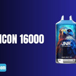 Stapsgewijze Handleiding Voor het Beheersen van de JNR Falcon 16000